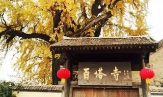 西安百塔寺怎么走 带你走进百塔寺