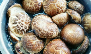 花菇怎样做好吃 花菇的制作方法