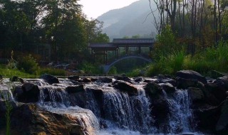 汤里温泉在哪里 森林面积多大