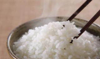 四川酒米饭的做法 四川酒米饭制作方法步骤详解