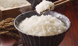 一碗米饭的热量是多少 你知道有多少吗
