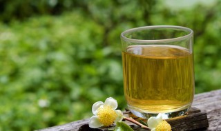 绿茶饮品制作方法 绿茶饮品的制作方法介绍