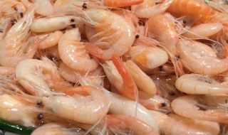 盐水腌制虾仁的方法 盐水腌制虾仁的方法是什么
