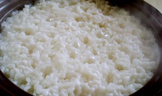 怎么煮米饭 煮米饭的方法