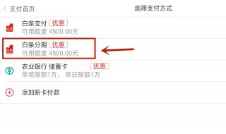 白条支付什么意思 白条支付的介绍