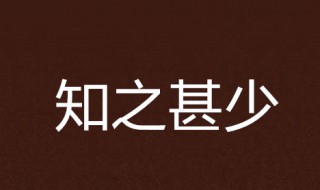 知之甚少是什么意思 知之甚少的造句