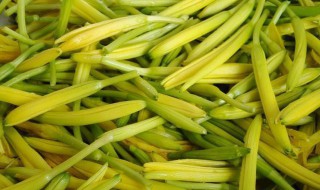 黄花菜的食用方法 黄花菜的用法用量