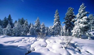 描写下雪的优美句子 描写下雪的优美句子有哪些