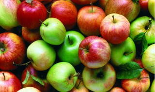 正确的摘苹果方法 摘苹果具体怎么摘