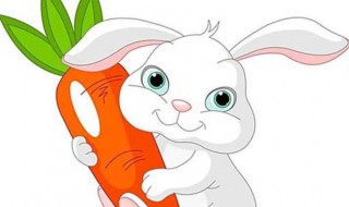 小兔子故事简短 小兔子的小故事