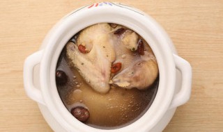墨鱼炖鸡肉怎么做 墨鱼炖鸡肉的烹饪方法