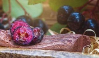野樱莓的食用方法 这五种吃法都很美味