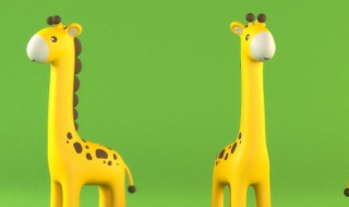 长颈鹿的英语怎么读 长颈鹿的英文解释
