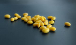 黄豆怎么泡软的快 如何泡发黄豆软的快