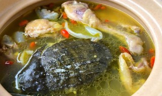 甲鱼汤的做法大全煲汤 甲鱼汤怎么做好吃
