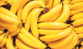 香蕉的寓意合和象征 香蕉的寓意和象征分别是什么