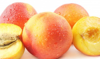 桃的功效与作用 桃子有什么功效和作用