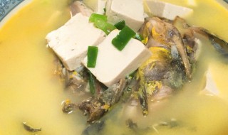 豆腐炖鱼怎么做 豆腐炖鱼如何做
