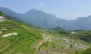 云和梯田景区游玩攻略 关于云和梯田景区游玩攻略