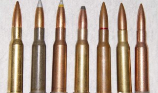 二十响子弹袋有多少发子弹 子弹袋有多少子弹