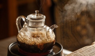 泡白茶用什么茶具 冲泡白茶使用哪些茶具最好