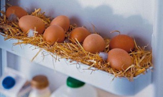 鸡蛋怎么保存能保鲜 鸡蛋怎么可以保存时间更久?