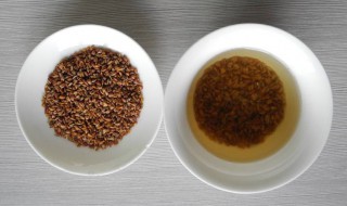 黑苦荞胚芽茶的功效与作用 黑苦荞胚芽茶的四大作用