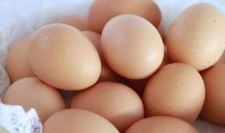 吃鸡蛋壳补钙的危害 鸡蛋壳该怎么吃