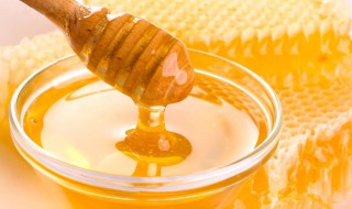 蜂蜜泡酒的作用与功效 白酒泡蜂蜜有什么功效