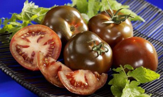 黑番茄种子哪里能买到 黑番茄种子哪里有卖