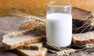 喝过期牛奶有什么危害 过期牛奶都含有什么物质