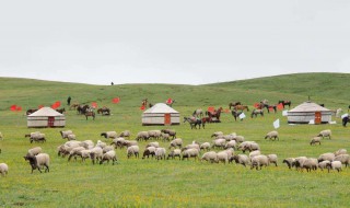 河南蒙古族自治县简介 河南蒙古族自治县介绍