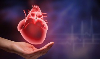 心脏彩超有辐射吗 心脏在什么位置