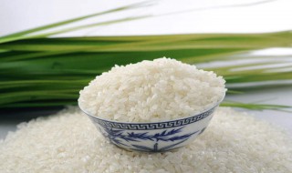 大米保存10年的方法 怎么存放大米