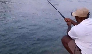 如何用泥鳅钓鱼 用泥鳅钓鱼的方法