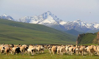 天山在哪里 天山在什么地方