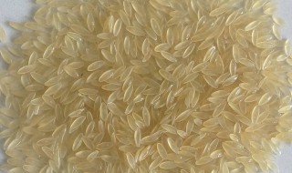 人造大米是什么做的 人造大米原料是什么