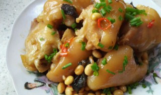砂锅炖猪脚怎么做好吃 砂锅炖猪脚做好吃的方法