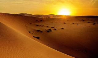 沙漠旅行的唯美句子 描写沙漠旅行的短句