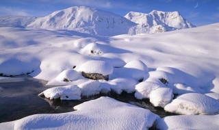 皑皑白雪的意思 皑皑白雪的意思是什么