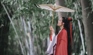 一场春雨一场梦的意思 一场春雨一场梦的意思是什么