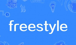 你有没有freestyle什么意思 你有没有freestyle解释及出处