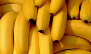香蕉什么时候成熟 香蕉的成熟时间