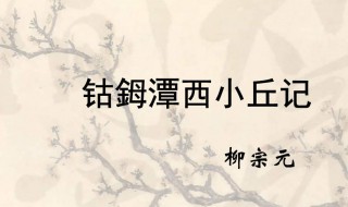 寻山口西北道二百步的西北是什么意思 寻山口西北道二百步原文