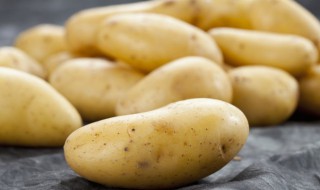 蒸好的土豆泥怎么保存 蒸好的土豆泥保存的方法