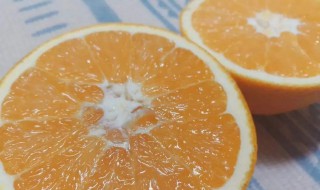 酸橙的正确食用方法 酸橙的正确使用方法分享