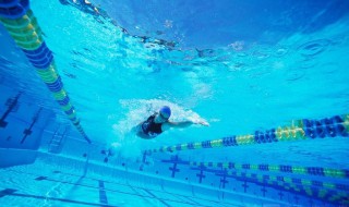 快速的游泳技巧 快速的游泳技巧分享