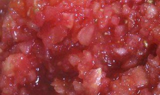 怎么做番茄蒜蓉 做酱的步骤