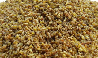 苦荞米的食用方法 苦荞米的食用方法列述