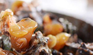 腌制螺肉的方法 螺肉的腌制方法介绍